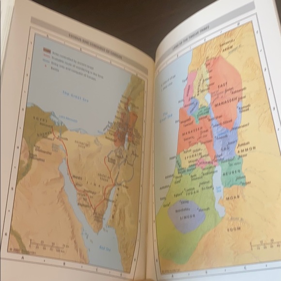 The Adventure Bible for Young Readers by Nirv - Picture 8 of 8